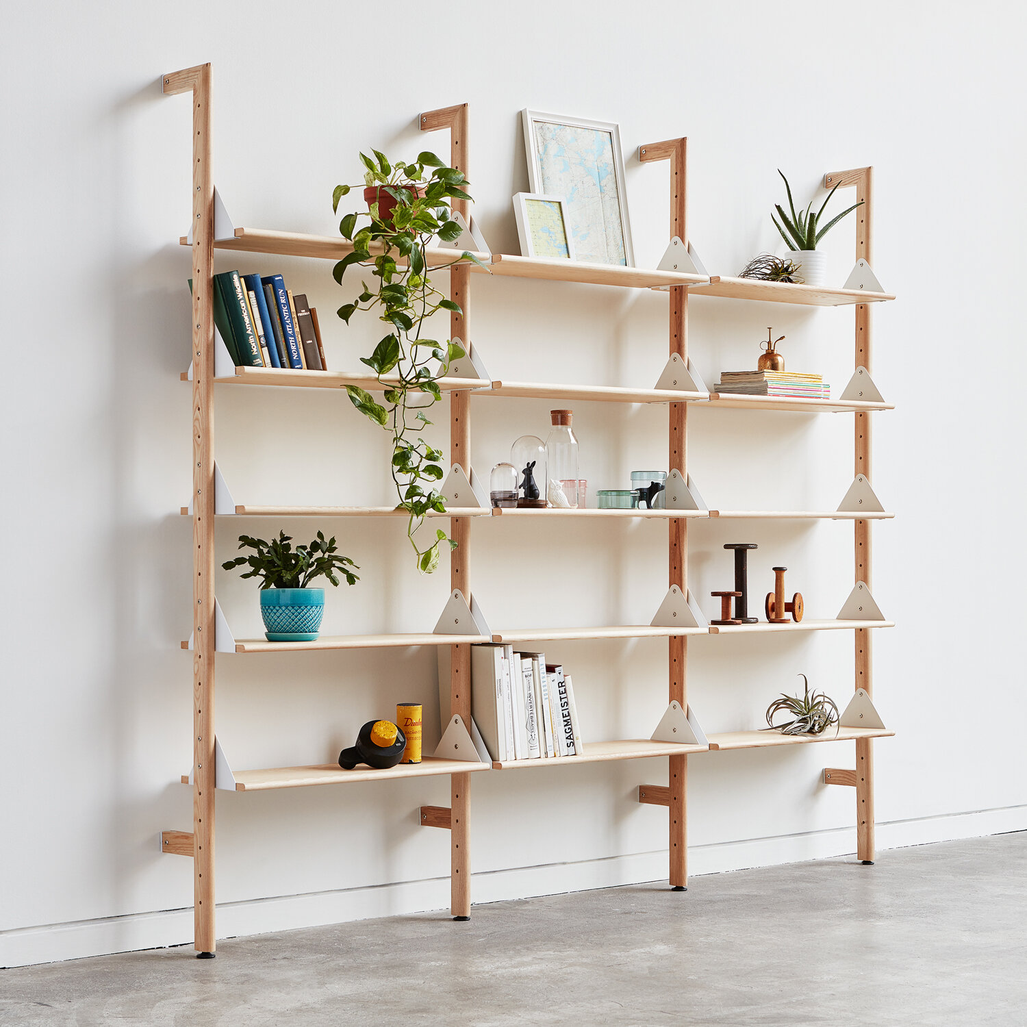 Branch 3 - Shelving Unit staged with plants and books.