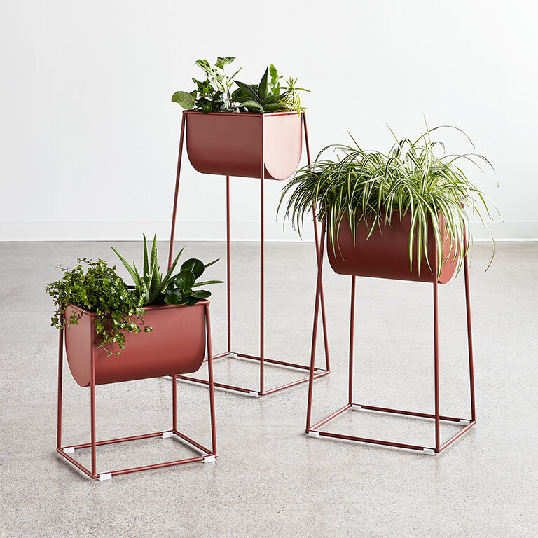 Modello Planter Set w/ plants - Clay