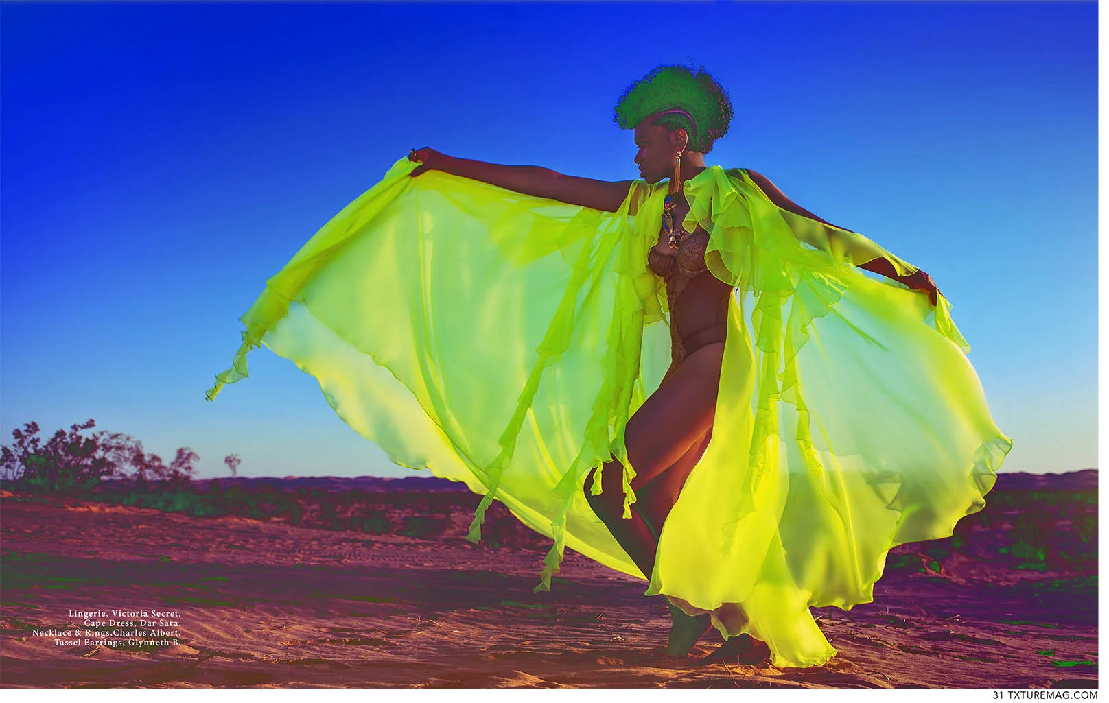 Desert Rose | TXTURE Magazine