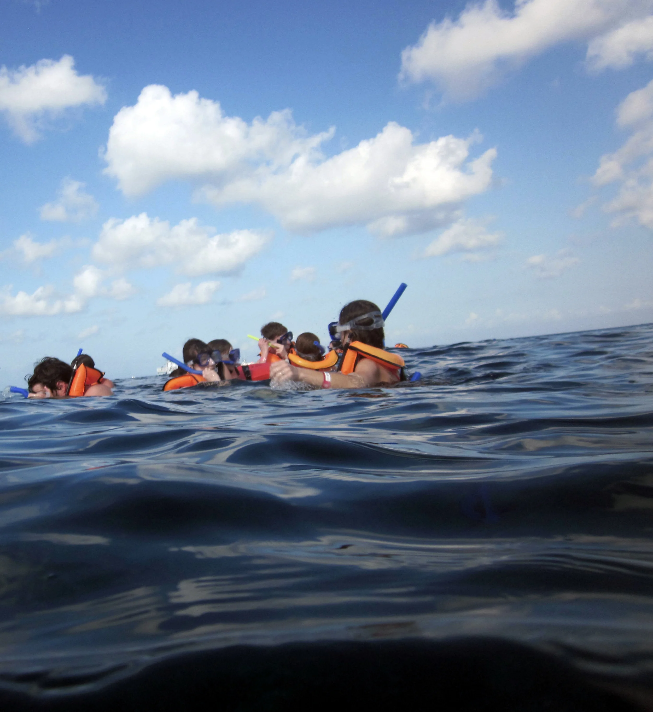 snorkle.jpg