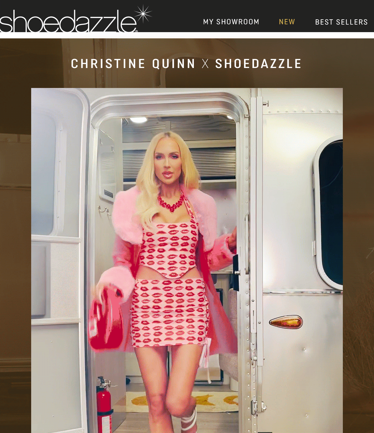 Behind the Scenes E-Mail for Christine Quinn x ShoeDazzle, Spring