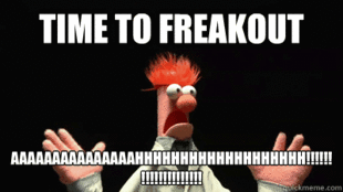 muppets 3.gif