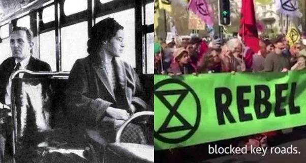 Rosa and Rebels.jpg