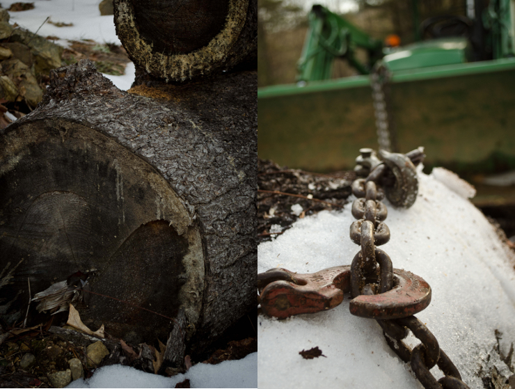 Old Pine Logs & Choker Chain