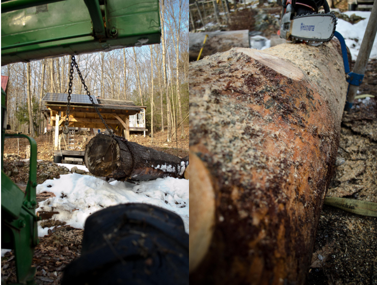 Skidding Log and Debarking