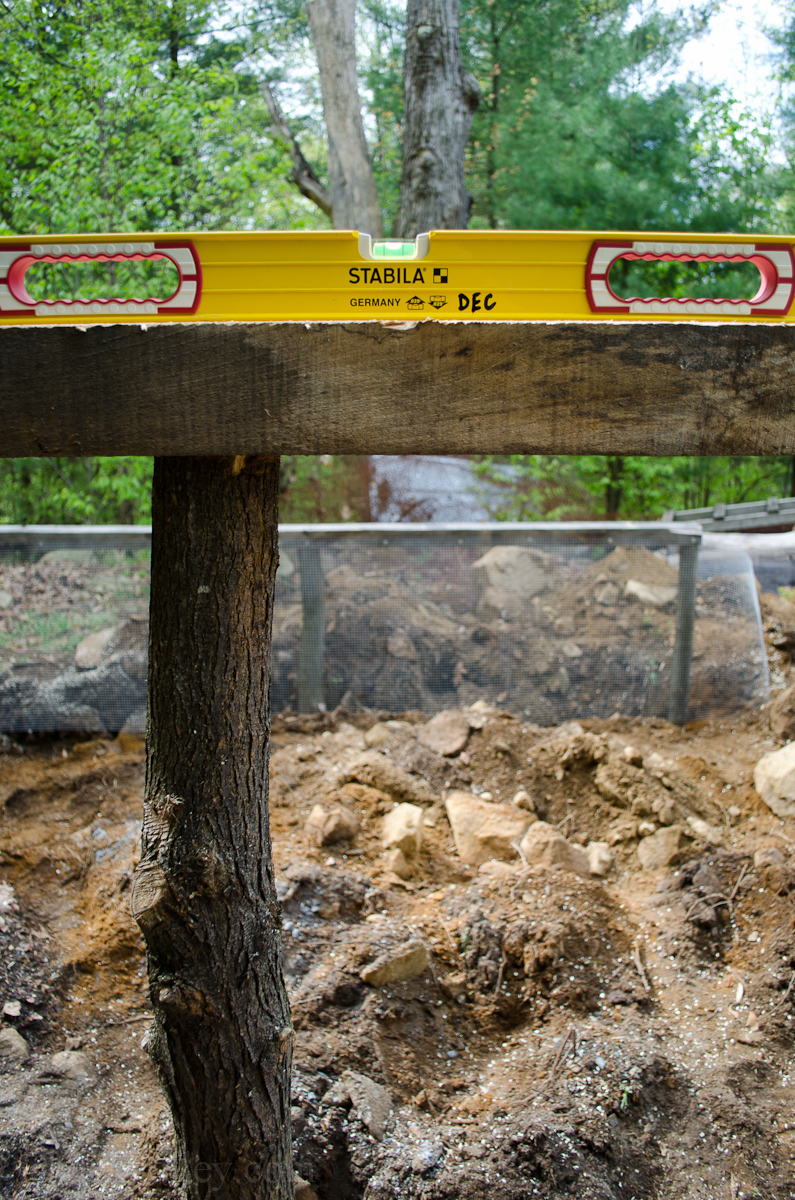 New Chicken Coop Run-9.jpg
