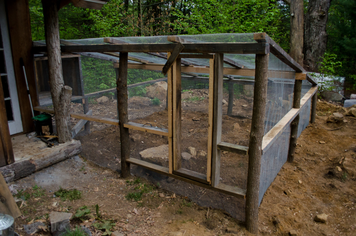 New Chicken Coop Run-7.jpg