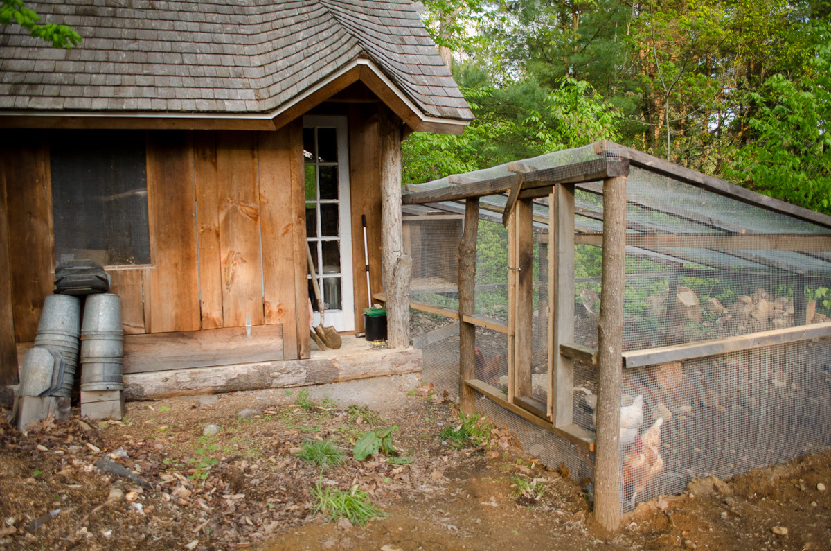 New Chicken Coop Run-3.jpg