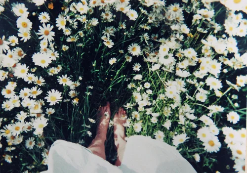 tumblr_m43193fthM1qzdsf6o1_500.jpg