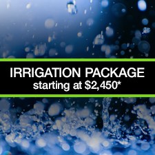 Based on Fully Automated Rain-bird 4 Zone Irrigation System, supplied and installed.