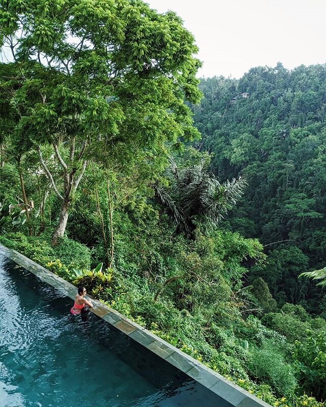 Got to stay in some amazing villas in Bali, especially this one in Ubud. It was a little off the map, but came with an incredibly view 🌴🏞️
#bali #infinitypool #jungle #view