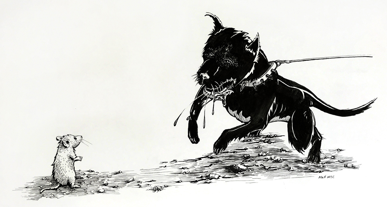 dogMouse1.jpg