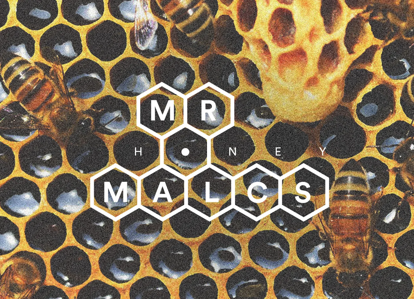 Naming and logo for Honey brand