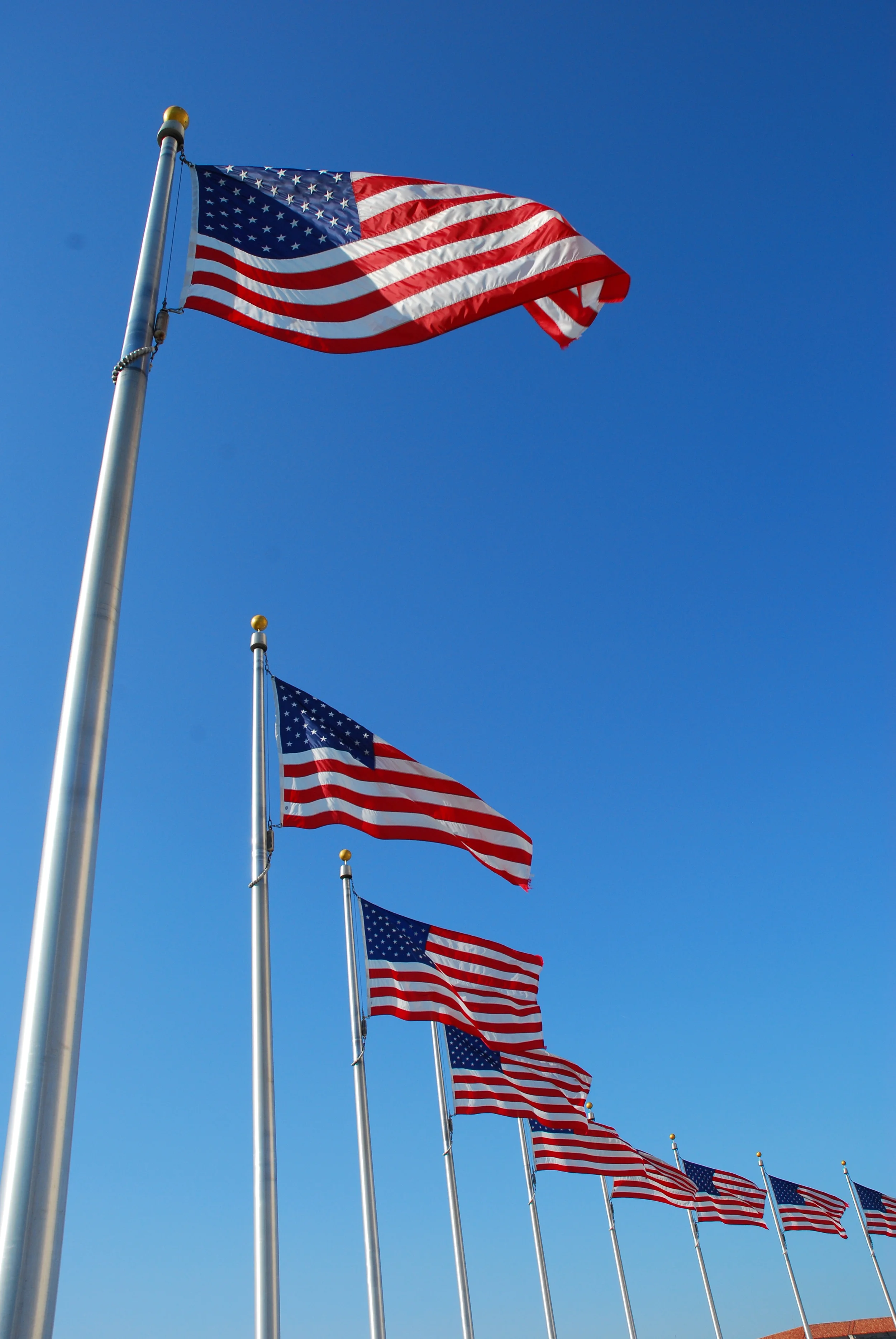 DC Flags 1.jpg