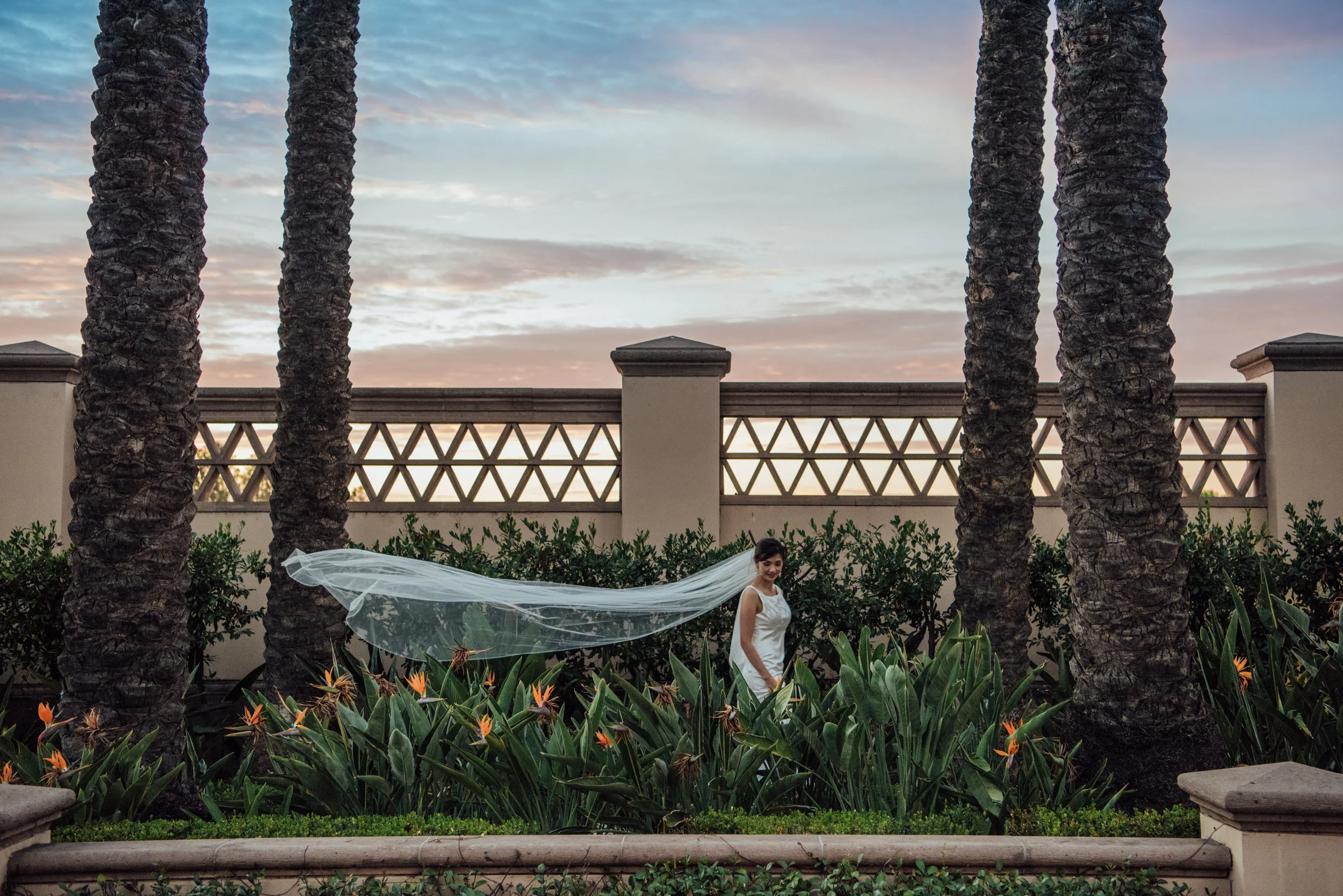 jasmine-wedding-1.jpg
