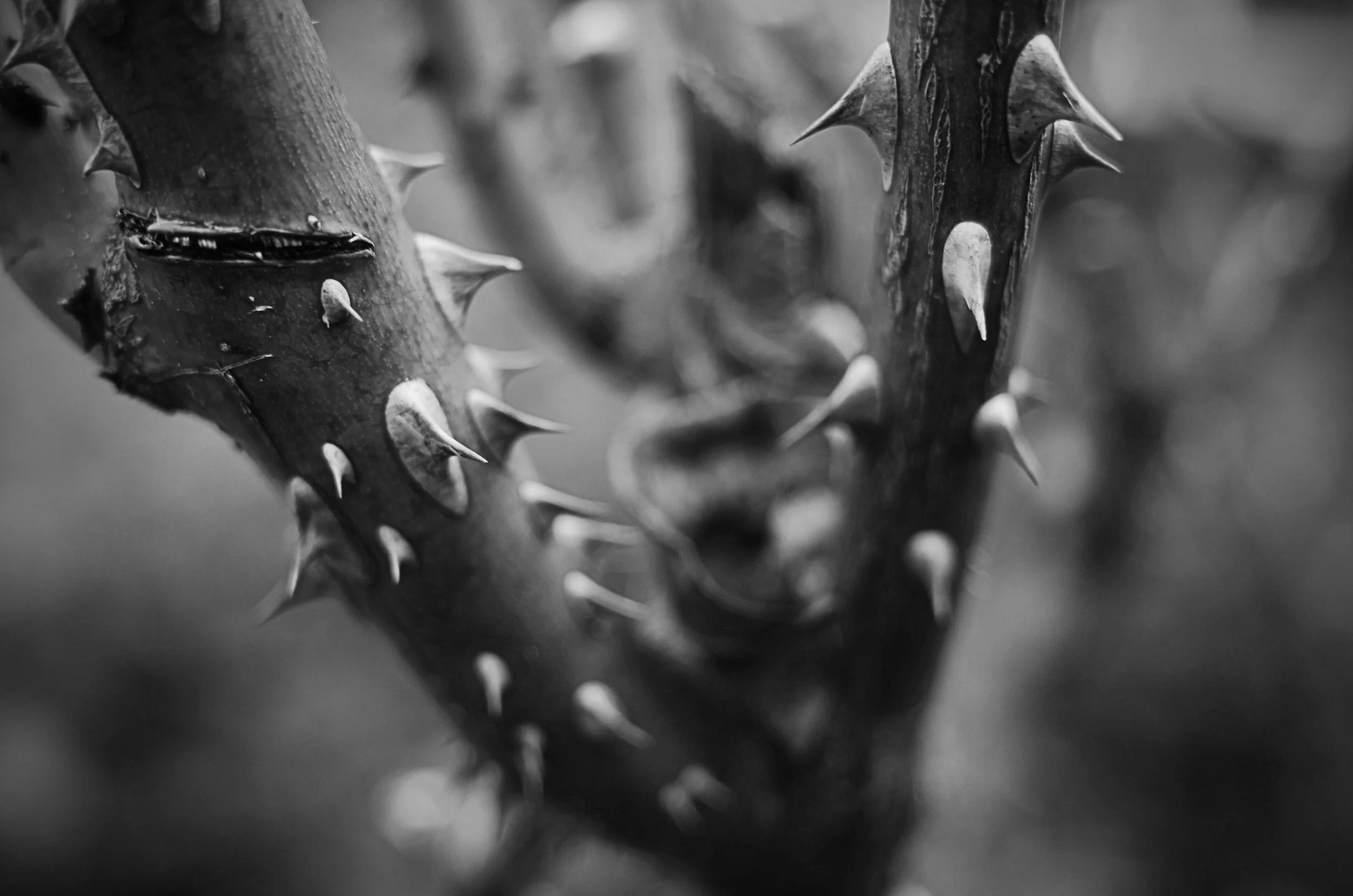 DSC_1116.jpg
