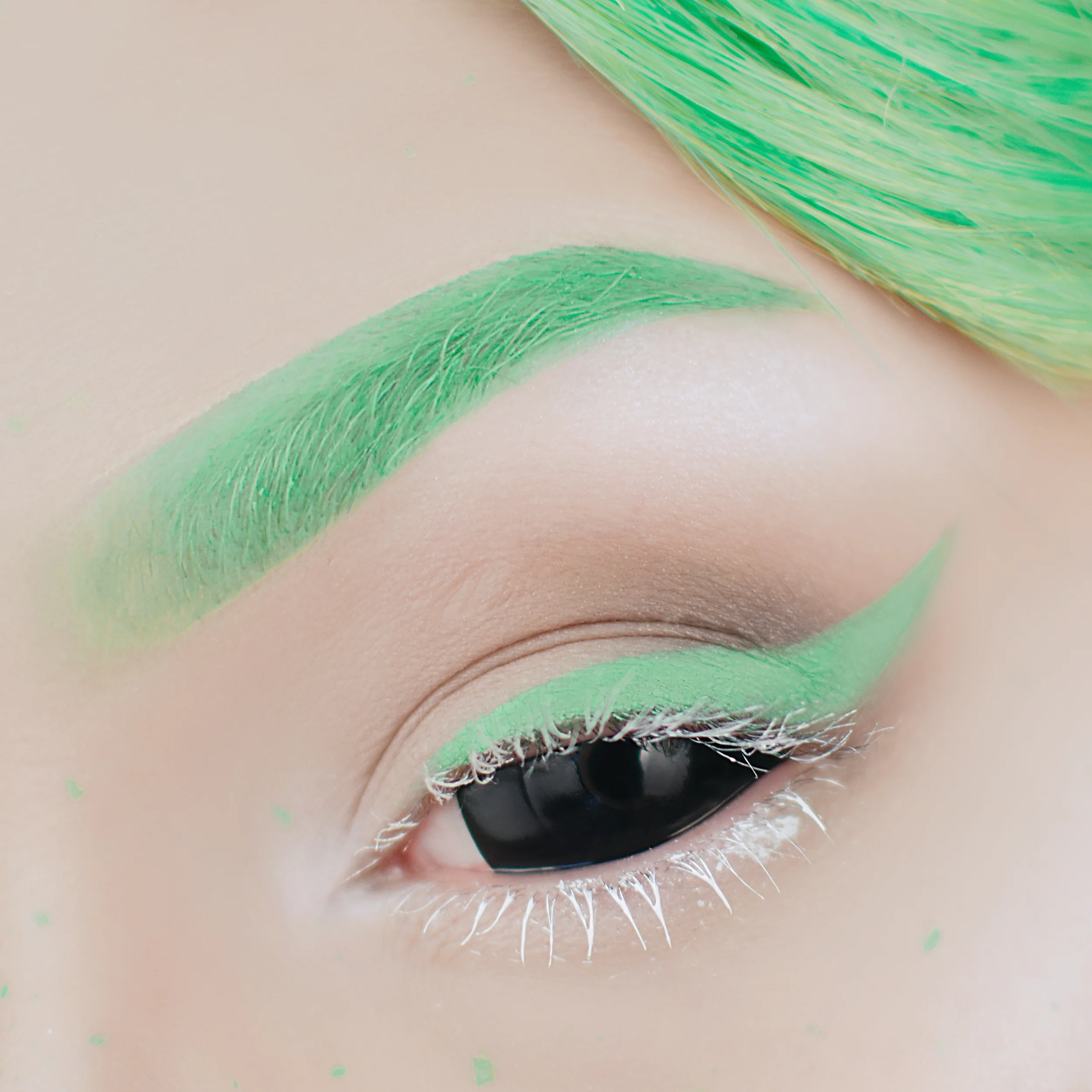 DSC_8688-2 crop.jpg