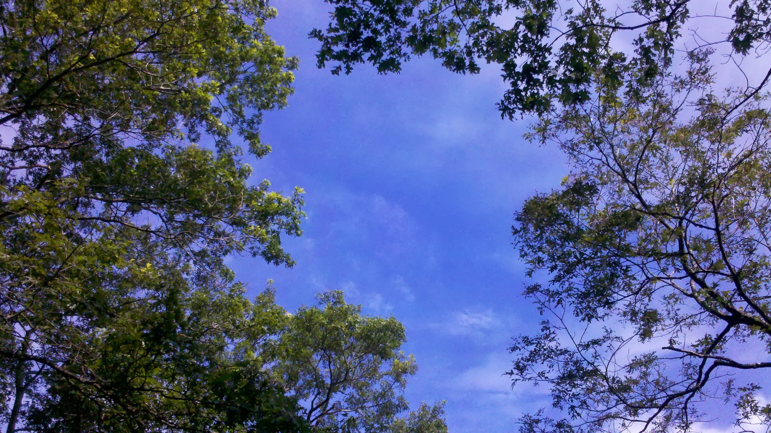 2013-08-07_09-46-58_851.jpg