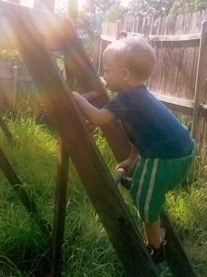 Climbing.jpg