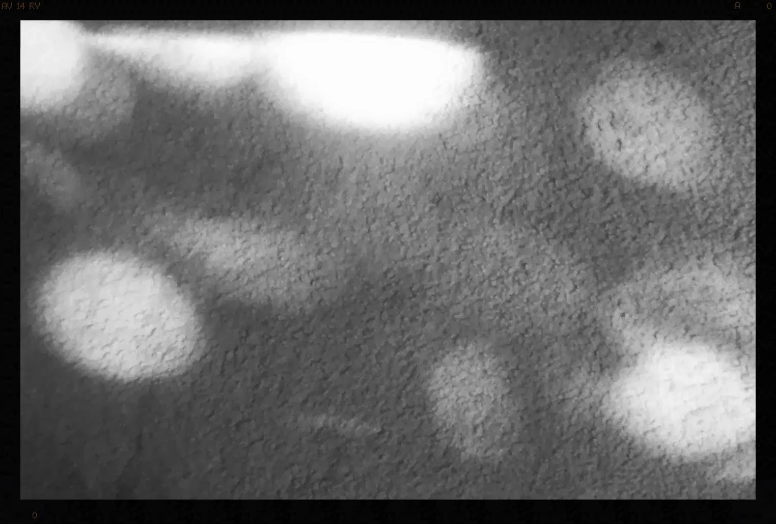 Yesterday's unexpected moment: dancing light on the carpet.