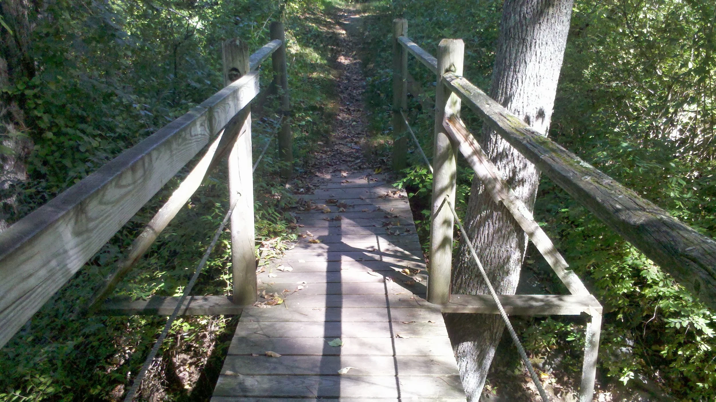Bridge2.jpg