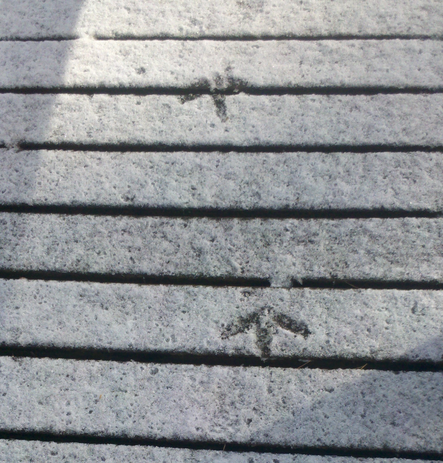 2013-12-11_11-34-45_771.jpg