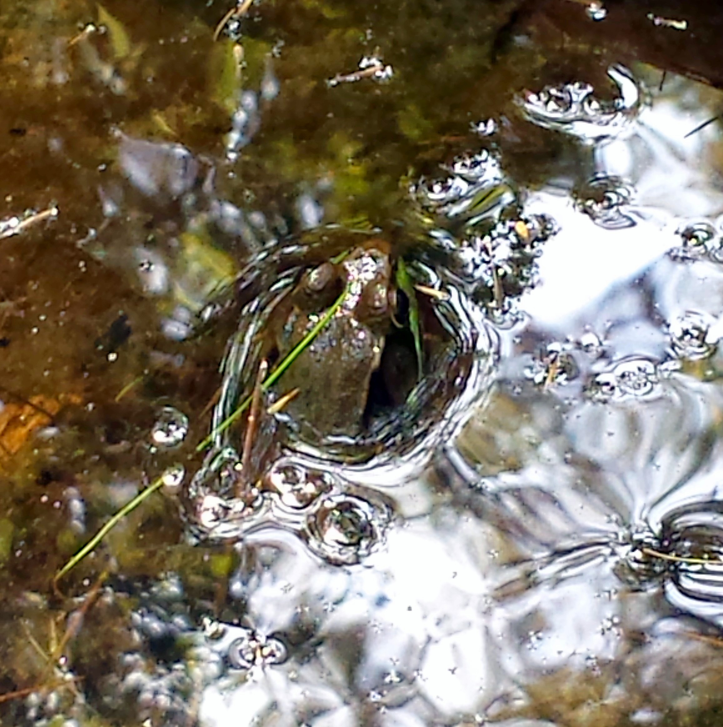 20140827_121909.jpg