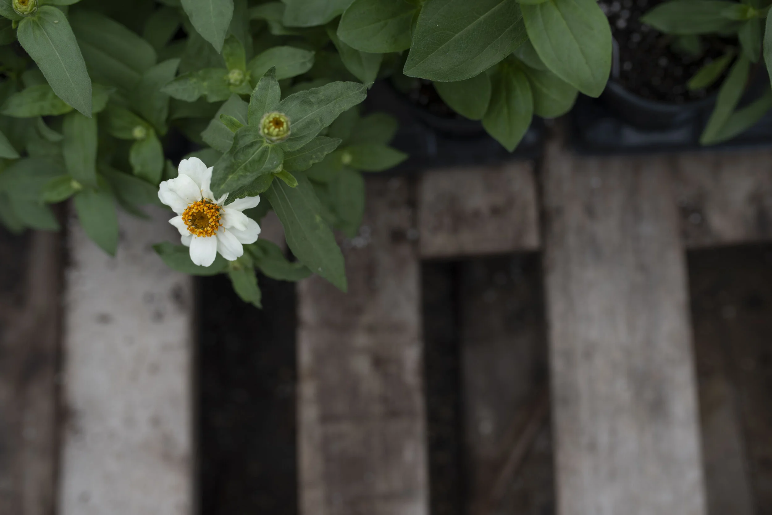 11 ways to get comfortable with getting help. 