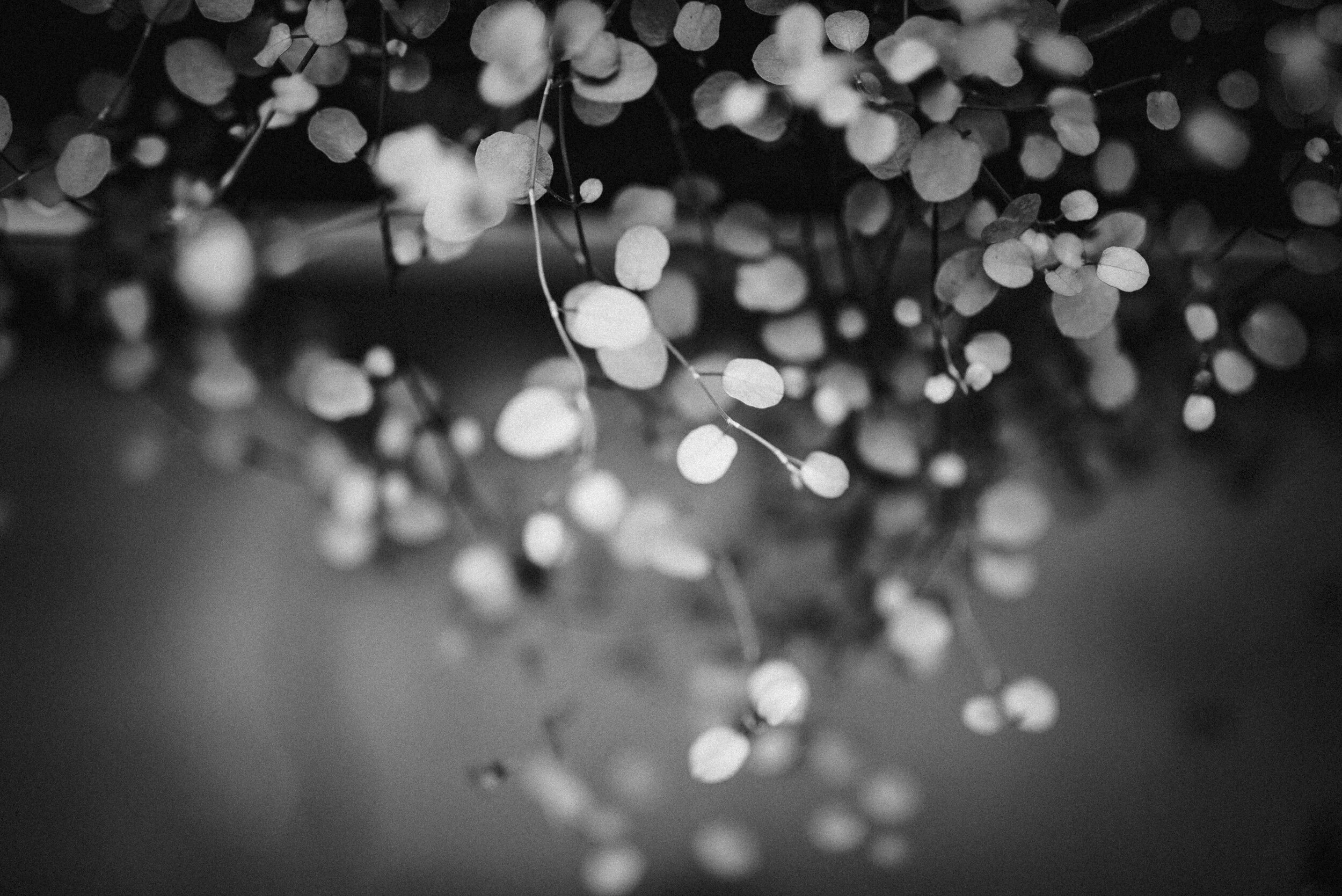 HANDCRAFTED: Imagine the possibilities 