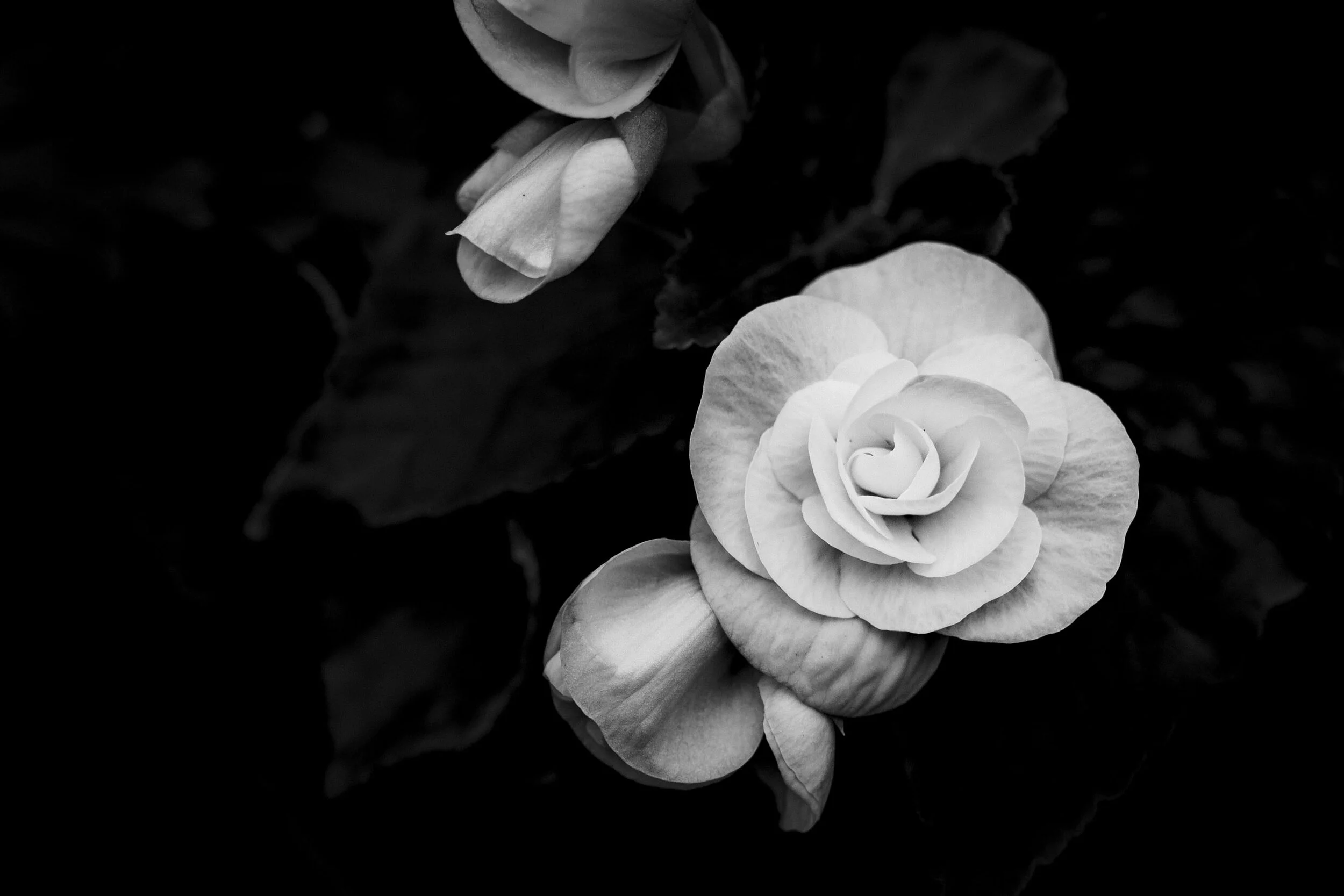 HANDCRAFTED: EXPECTATIONS