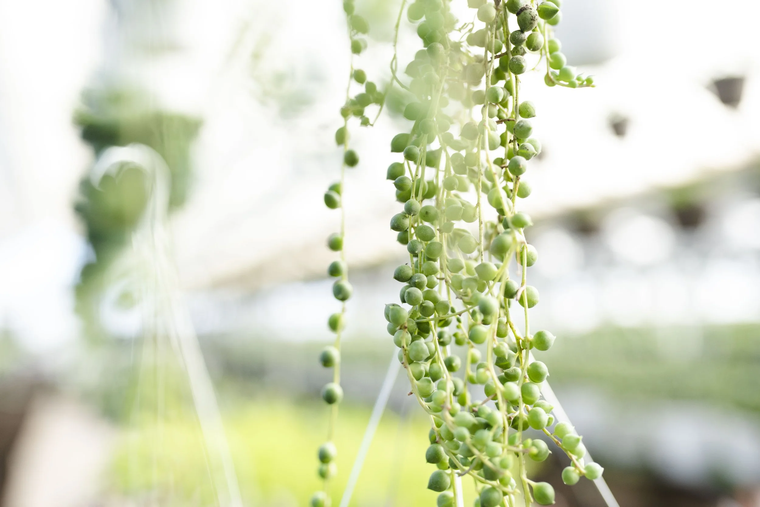 HANDCRAFTED: 3 ways to create well-being in your life