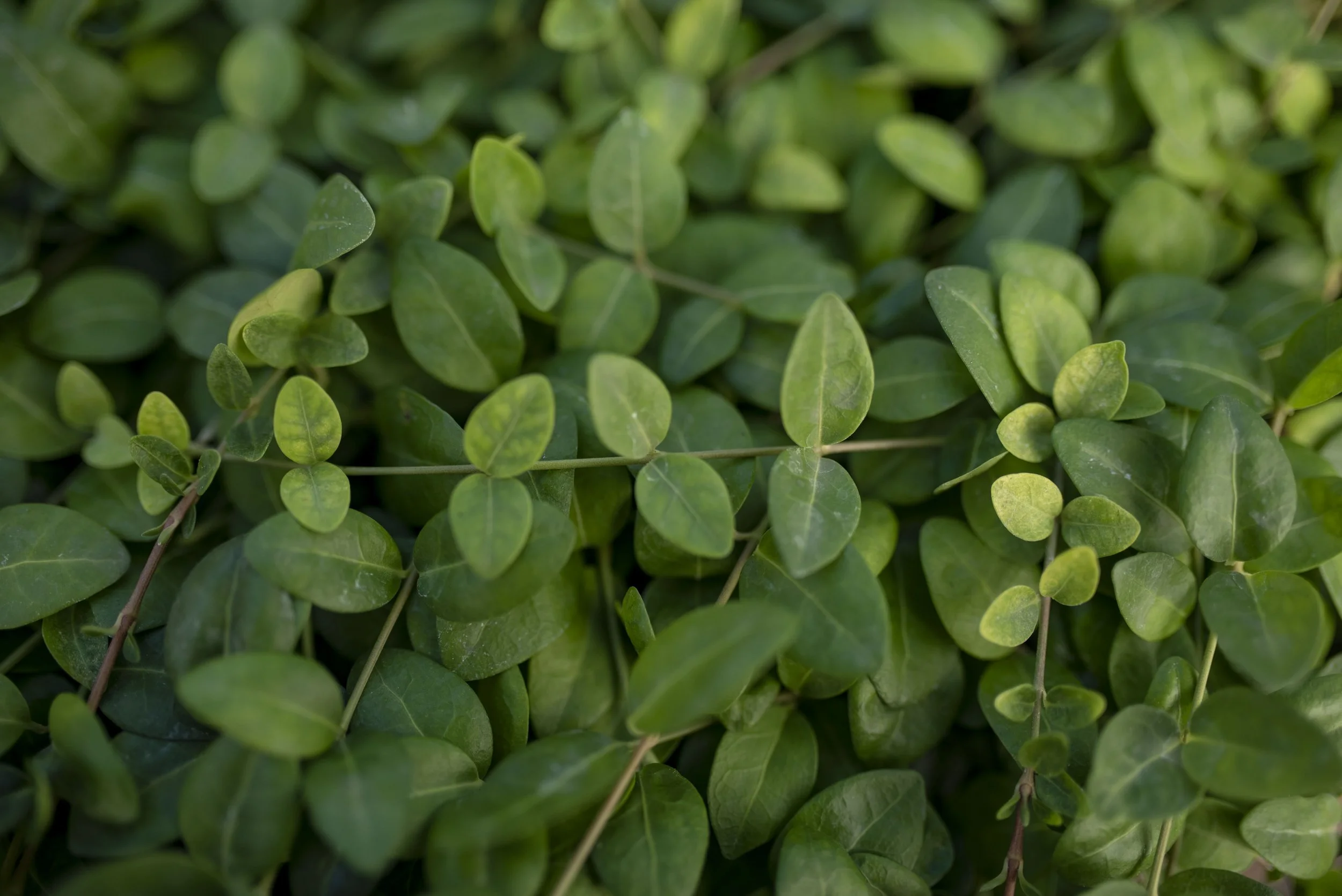 HANDCRAFTED: YOU ARE WORTHY OF RELAXATION  