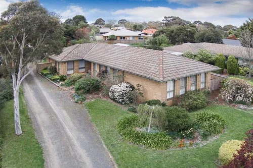 Drone Website-006.jpg