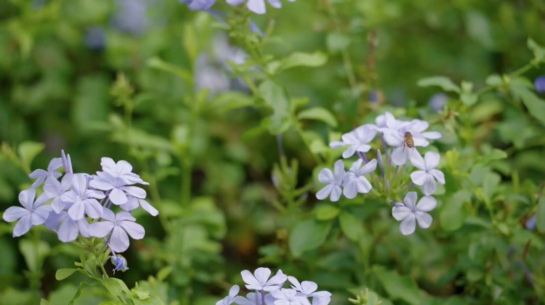 Screenshot 2026-02-16 at 9.23.32 AM.png