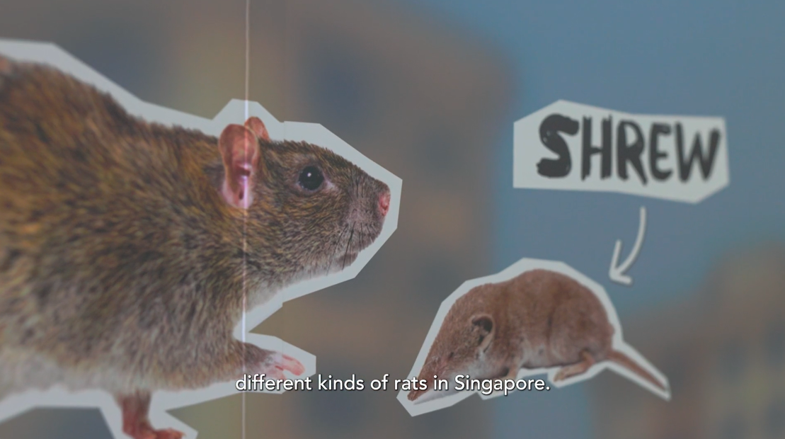 Screenshot 2026-02-20 at 5.59.14 PM.png