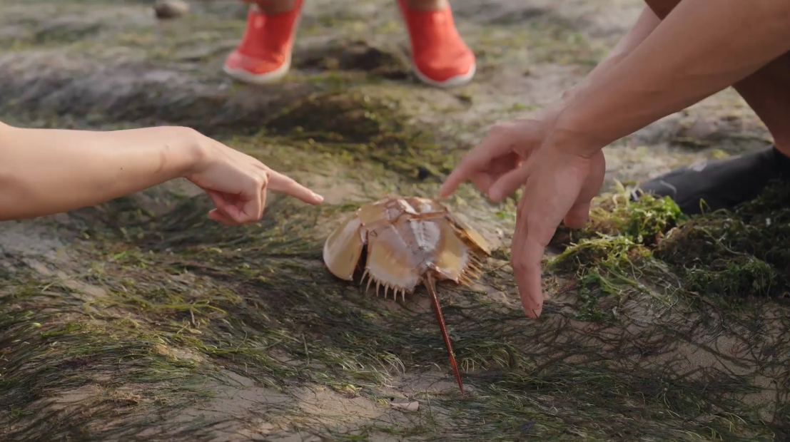 Screenshot 2026-02-16 at 9.25.41 AM.png