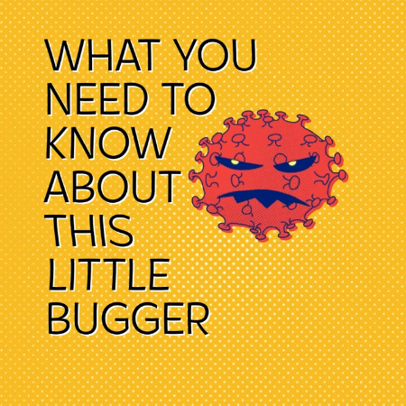 Screenshot 2026-02-20 at 2.06.47 PM.png