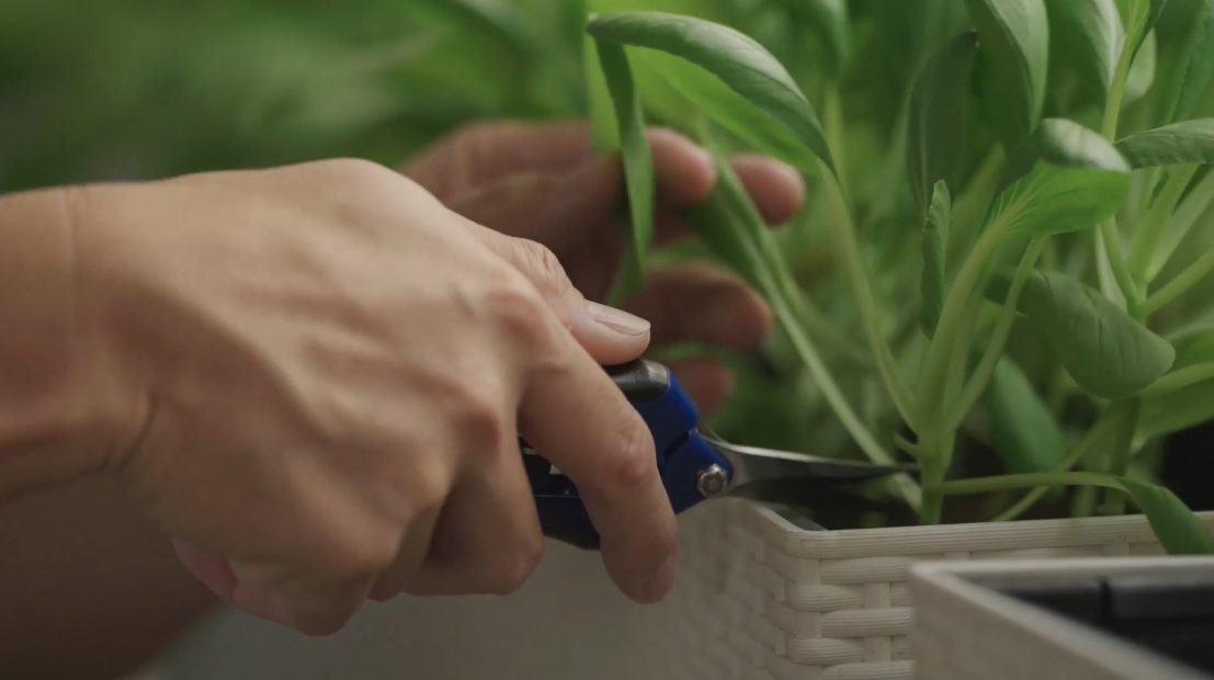 Screenshot 2026-02-16 at 9.26.38 AM.png