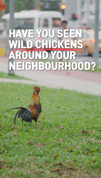 Screenshot 2026-02-20 at 3.48.01 PM.png