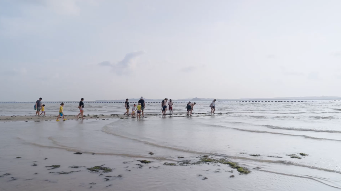 Screenshot 2026-02-16 at 9.24.50 AM.png