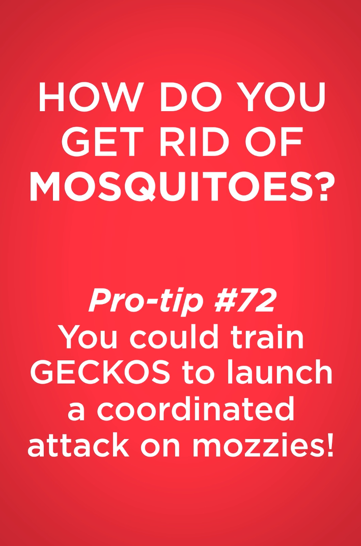 Screenshot 2026-02-20 at 4.52.04 PM.png