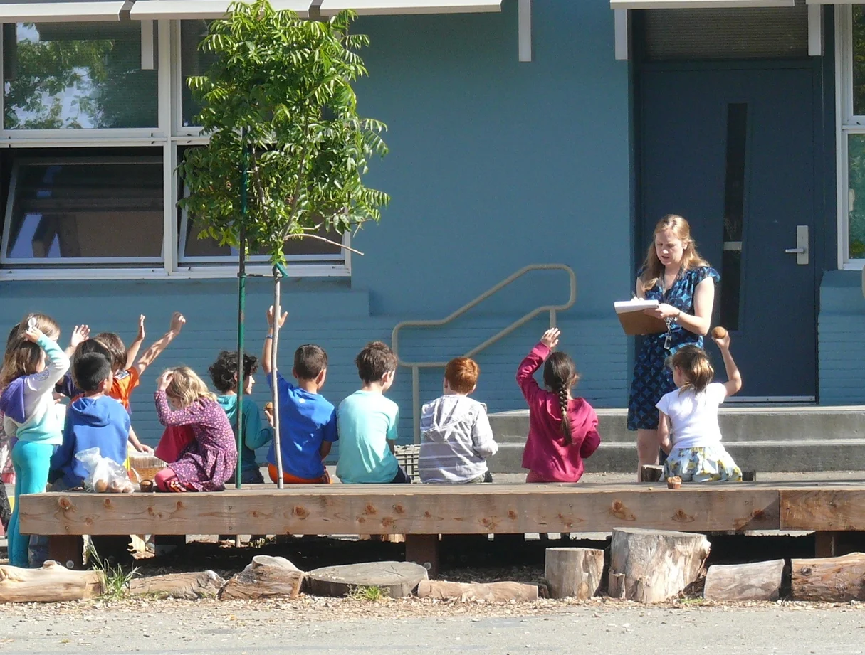 Outdoor learning area in use