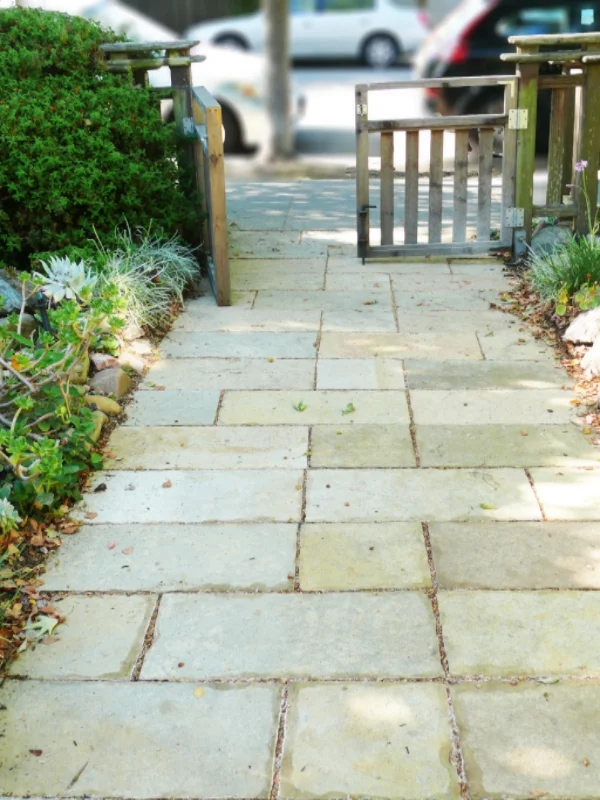 Wheeler_FrontPath3.jpg
