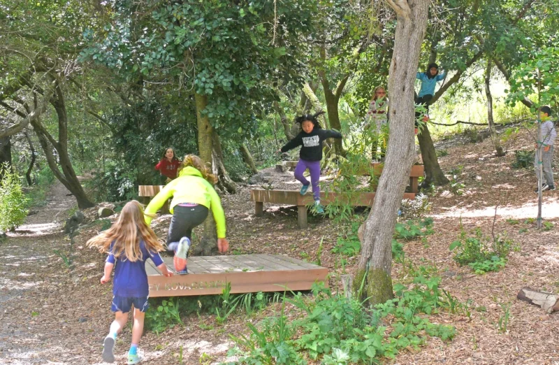 BTD TheNuevaSchool Decks52.JPG