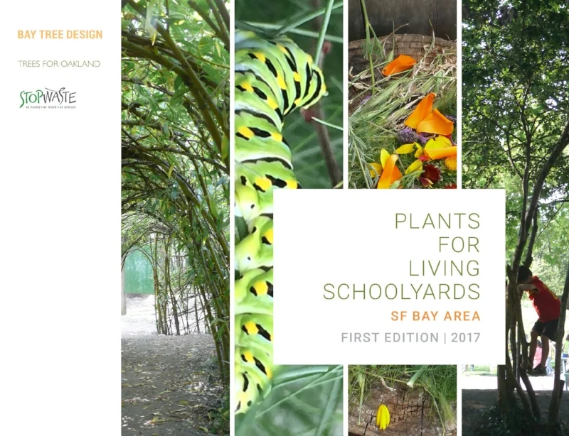 Plants for Living Schoolyards: SF Bay Area, First Edition 2017 Lisa Howard Principal