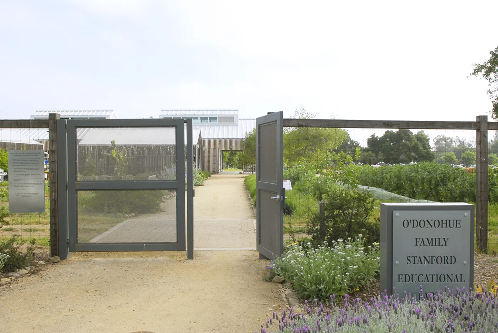 BTD Stanford-0508--R.jpg