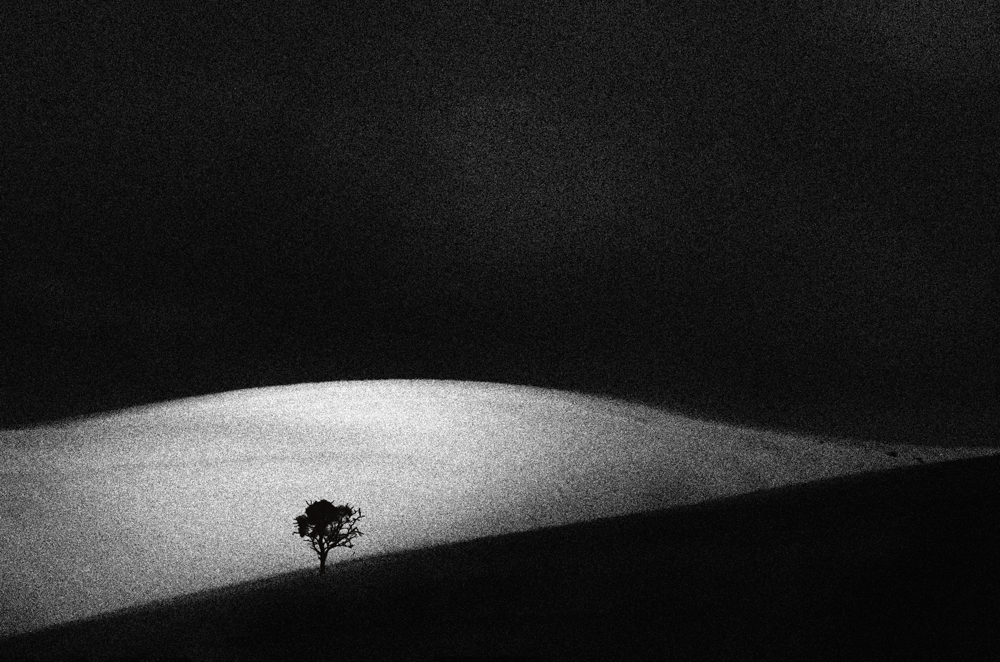Distant Sands by Wendy Philip