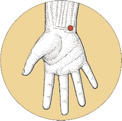 ht7 acupuncture point