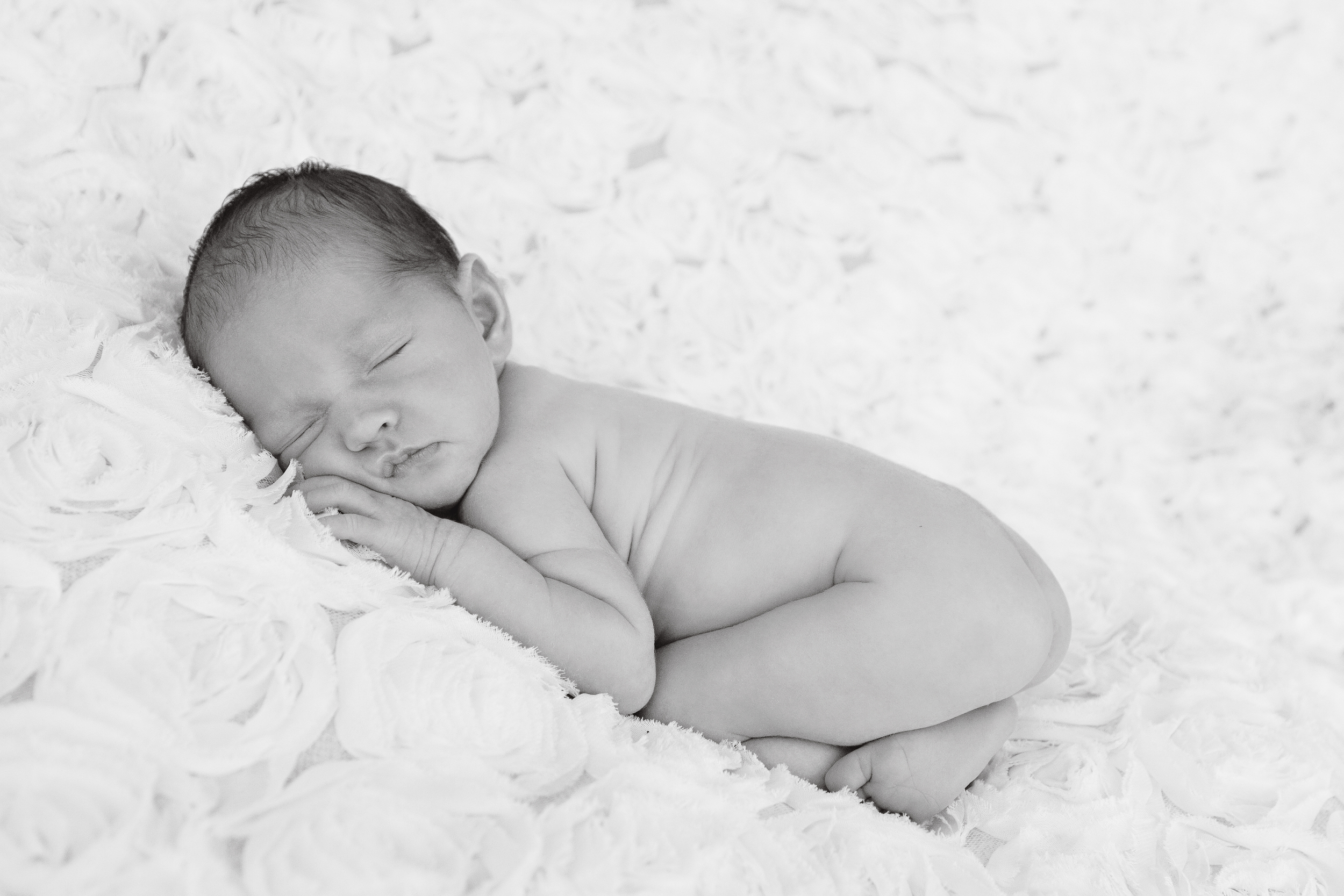 Willow_newborn_baby_juanita_rudman.jpg