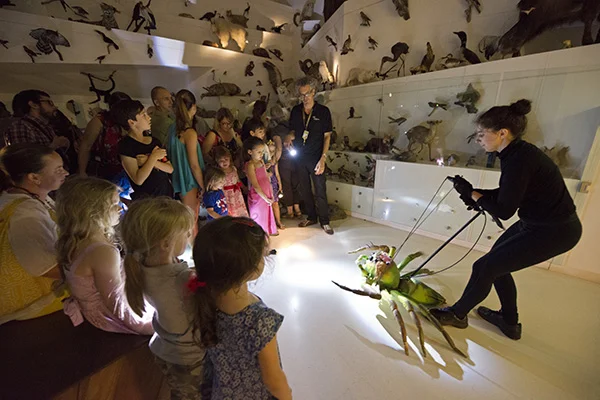 White NIght 2013. Image courtesy of Dianna Snape .